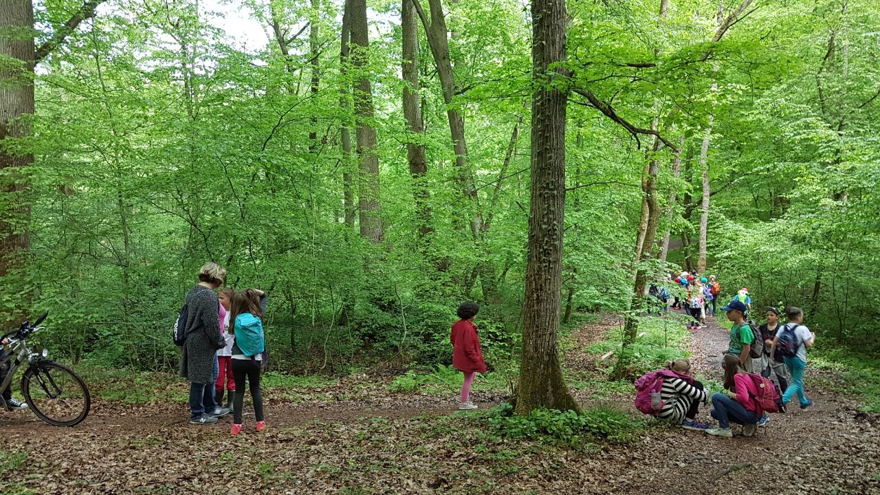 Wald-Actiontag des Förderverein im Mai 2017