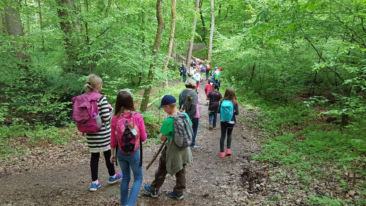 Wald-Actiontag des Förderverein im Mai 2017